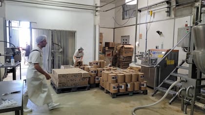 La nueva planta, ubicada en Ana Zumarán a 15 km del tambo, va a automatizar cerca del 75% de las operaciones