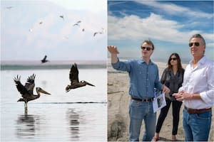 California tiene su primera reserva natural en 15 años