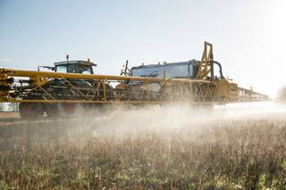 Dicamba: lecciones que dejan los EE.UU.