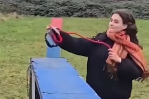 Después de los therians, llegó el “Hobby dogging”: de qué se trata la nueva tendencia de pasear a perros imaginarios