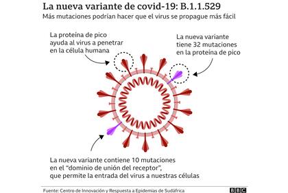La nueva variante de civid-19