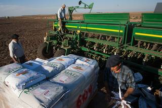 Nutrición: cubrir las necesidades