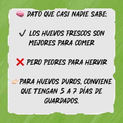 La nutricionista dio tips de qué tipo de huevos son los ideales para luego poder hervirlos