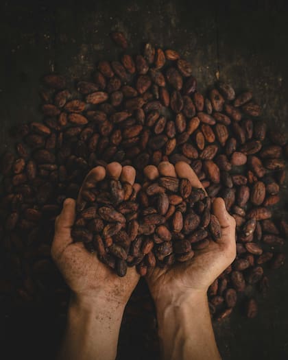 La nutricionista sugiere leer que el etiquetado no muestre más azúcar que cacao
