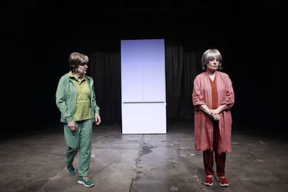 La obra centra en el amor de una mujer de unos 80 años por el arte