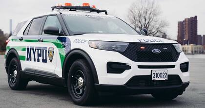 La obra de Vitale defiende la eliminación del enfoque policial tradicional ante delitos relacionados con el consumo de narcóticos, la prostitución, la vigilancia fronteriza y la intervención en conflictos relacionados con adolescentes