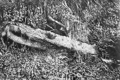 La obra exhibida en la última edición de ARCO