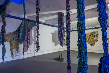 La obra inmersiva de Allievi