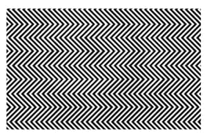 La increíble ilusión óptica que esconde un importante mensaje