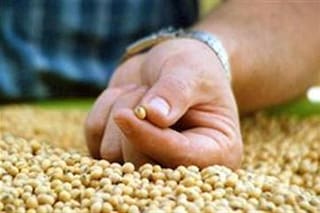 El Gobierno le presentó al campo un nuevo esquema para la fiscalización en semillas