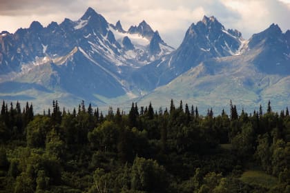 La Oficina de Información de Dividendos posee tres sedes donde se puede asistir para recibir información personalizada. (Canva)