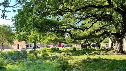 La oficina de tierras podrá adoptar las normas necesarias para coordinar el establecimiento del Sendero del Bicentenario
