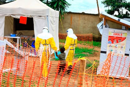 La OMS declaró una emergencia global por un brote de ébola