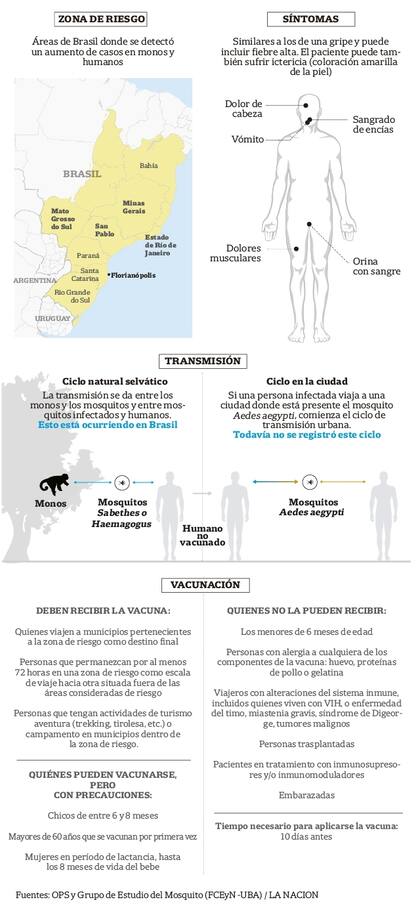 La OMS volvió a recomendar ayer que las personas que viajen a Brasil en los próximos días se vacunen contra la fiebre amarilla. Lo hizo luego de que se detectara un aumento de la transmisión selvática del virus cada vez más próxima a centros urbanos muy poblados, como el Gran San Pablo.