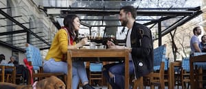 Estos son los barrios en los que vivir con una mascota es más fácil: plazas, caniles, bares y espacios pet friendly