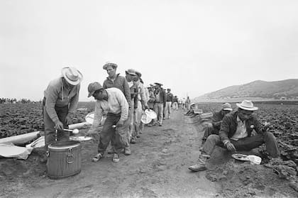 La Operación Espalda Mojada ayudó a reforzar el programa Bracero que se mantuvo en vigor hasta finales de 1963.