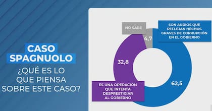 La opinión de la sociedad sobre el caso Spagnuolo