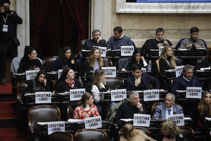 La oposición consiguió el quórum para tratar fondos a Universidades, Garrahan y otras leyes