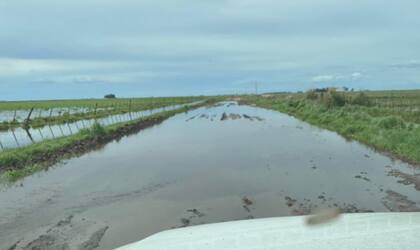 "La ordenanza que impulsa el Ejecutivo es apenas un parchecito, una solución momentánea”, reconoció Palmisano