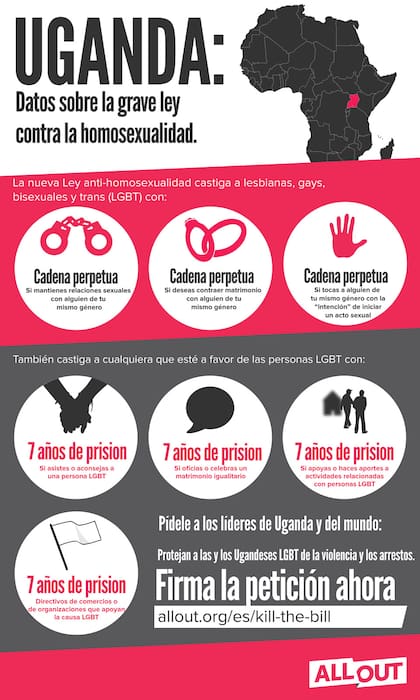 La organización All Out cuestiona la ley anti gay