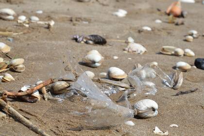 La Organización de las Naciones Unidas (ONU) estima que entre 8 y 13 millones de toneladas de plástico terminan en los océanos cada año