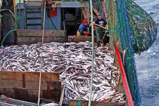 No descartemos el futuro del mar argentino
