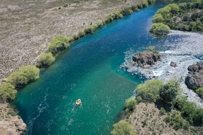 La organización destaca el rol de la ganadería como herramienta para la restauración de los ecosistemas naturales.