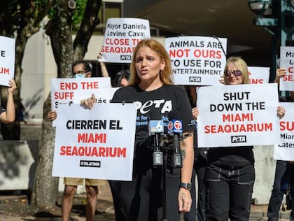 La organización SoFlo Animal Rights exige el cierre del parque acuático de Miami