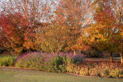 La orientación del sol y su incidencia en el follaje son un punto clave a la hora de diseñar