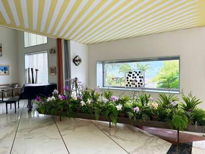 La orquídea necesita buena luz para maximizar su efecto de armonía y elegancia en el hogar