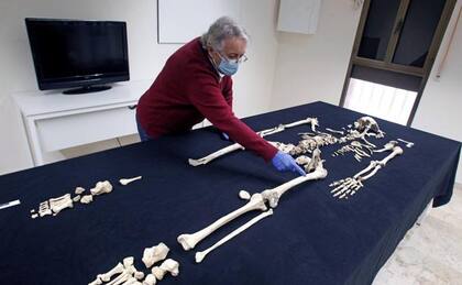 La osteoarqueóloga Mari Paz de Miguel junto al esqueleto del caballero encontrado en la fosa de Guardamar