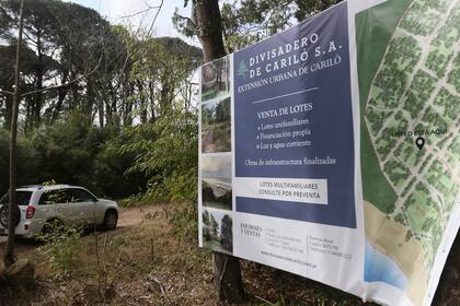 El proyecto que se debate hoy