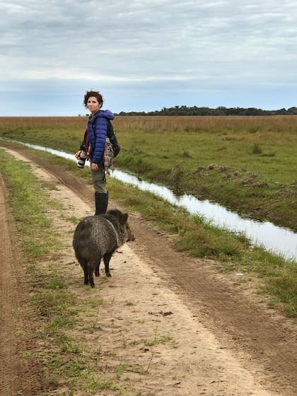La paciencia de Sofía para fotografiar un pecarí de collar en los Esteros del Iberá.