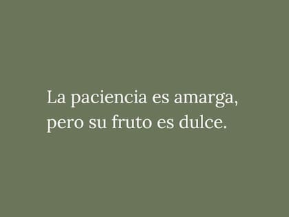 "La paciencia es amarga, pero su fruto es dulce", la frase que se popularizó gracias a la filosofía china