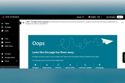 La página de la aerolínea indica que sus vuelos están suspendidos por el momento