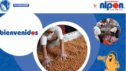 La página de Productos Nipón