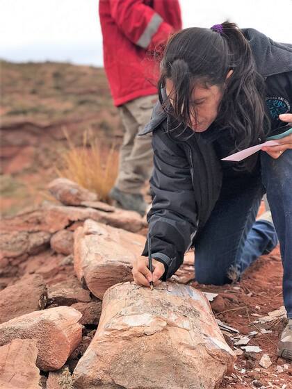 La paleontóloga Doménica Santos, en pleno trabajo en Añelo