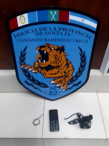 La paloma llevaba como carga un teléfono, una resistencia y un chip.