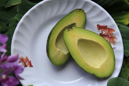 La palta es una fruta originaria de Mesoamérica (Foto de carácter ilustrativo: PEXELS)