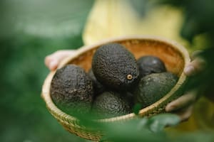 La palta se destaca como un alimento del que se puede aprovechar en su totalidad