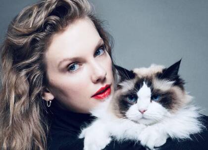 La pancarta se refirió a la cantante como "Cat Lady" (La dama de los gatos)