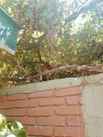 La pared que fue testigo de las charlas que tuvieron cuando eran adolescentes.