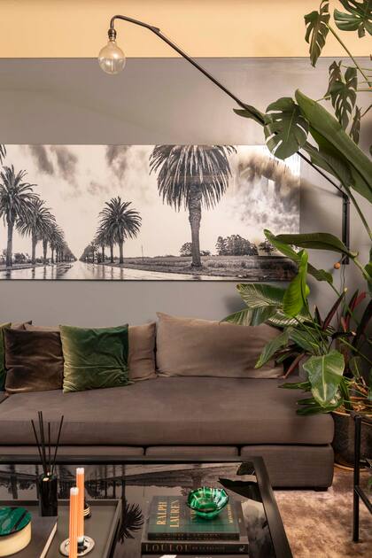 La pared se pintó de gris para que se fundiera el sillón en L de pana (Sixta) y se destacaran la obra fotográfica (José Pereyra Lucena) y los detalles verdes, tanto naturales como de deco.