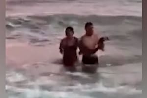 Una pareja sacó a un pingüino del mar y lo llevaron hasta la orilla para sacarse fotos