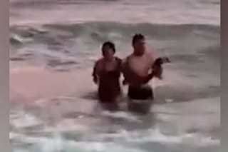 Una pareja sacó a un pingüino del mar y lo llevaron hasta la orilla para sacarse fotos