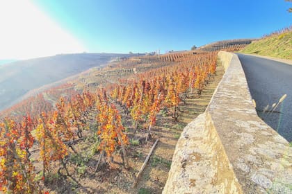La pareja argentina quedó maravillada ante los paisajes de la campiña francesa.