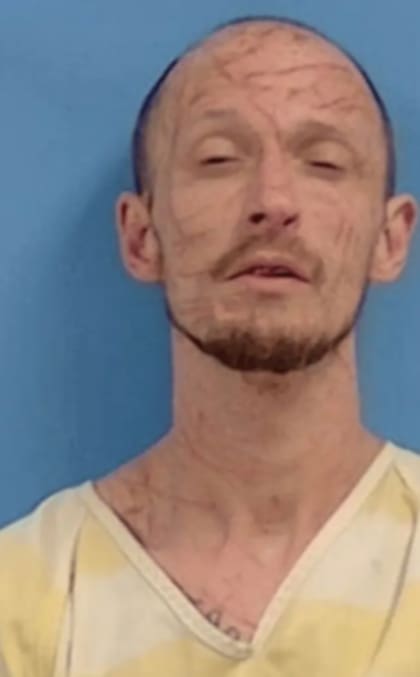 La pareja llamó al 911 ante la sospecha (Foto: White County Arkansas Sheriff Dept)