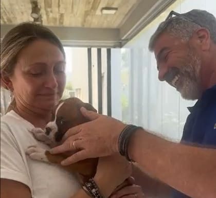 La pareja no pudo evitar la emoción con la llegada de su nueva mascota (Captura: @julilc1)