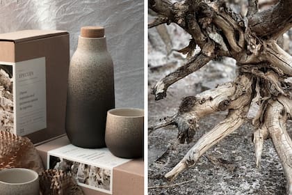 La particular transicin de tonos del set Epecun evoca los singulares rboles petrificados de la Villa inundada hace cuatro dcadas.