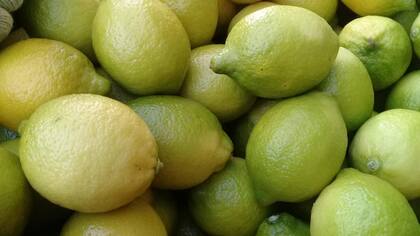 La partida exportada estuvo integrada por 6405 pallets de limones, 4823 de naranja, 860 de mandarinas, 166 de peras, más un lote con 6 pallets de nuez
